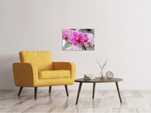 Load image into Gallery viewer, Canvas print Purple orchids in bloom
