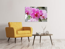 Load image into Gallery viewer, Canvas print Purple orchids in bloom
