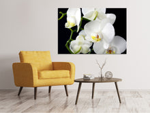 Load image into Gallery viewer, Canvas print Orchid close up

