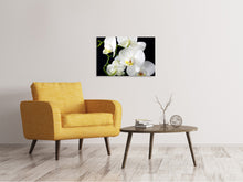 Load image into Gallery viewer, Canvas print Orchid close up
