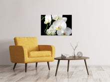 Load image into Gallery viewer, Canvas print Orchid close up
