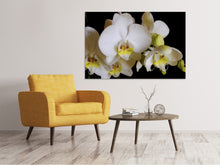 Load image into Gallery viewer, Canvas print White orchids in bloom
