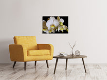 Load image into Gallery viewer, Canvas print White orchids in bloom
