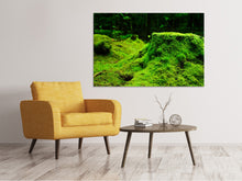 Load image into Gallery viewer, Canvas print Moss in the forest
