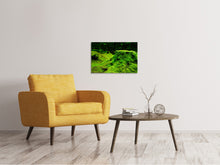 Load image into Gallery viewer, Canvas print Moss in the forest
