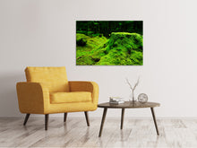 Load image into Gallery viewer, Canvas print Moss in the forest
