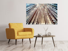 Load image into Gallery viewer, Canvas print Trees in the snow
