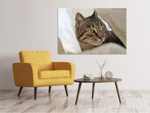 Load image into Gallery viewer, Canvas print Favorite cat
