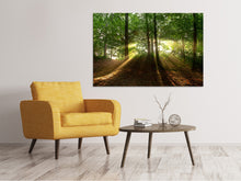 Load image into Gallery viewer, Canvas print Sun in the forest
