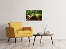 Load image into Gallery viewer, Canvas print Sun in the forest
