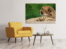 Load image into Gallery viewer, Canvas print XL cheetah
