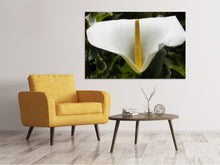 Load image into Gallery viewer, Canvas print Macro calla in white

