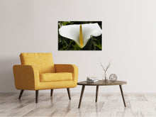 Load image into Gallery viewer, Canvas print Macro calla in white
