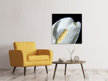 Load image into Gallery viewer, Canvas print Calla Close up in white
