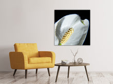 Load image into Gallery viewer, Canvas print Calla Close up in white
