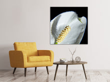 Load image into Gallery viewer, Canvas print Calla Close up in white
