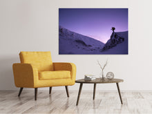 Load image into Gallery viewer, Canvas print The snowwalker
