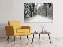 Load image into Gallery viewer, Canvas print Snow in the forest
