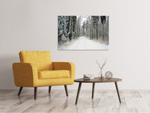 Load image into Gallery viewer, Canvas print Snow in the forest
