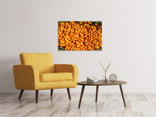 Load image into Gallery viewer, Canvas print Fresh mandarins
