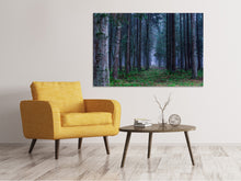 Load image into Gallery viewer, Canvas print Fir trees forest
