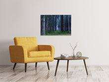 Load image into Gallery viewer, Canvas print Fir trees forest
