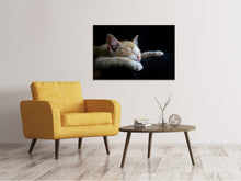 Load image into Gallery viewer, Canvas print Lazy cat
