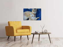 Load image into Gallery viewer, Canvas print Like mom ...
