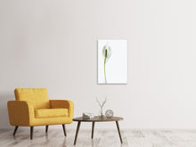 Load image into Gallery viewer, Canvas print The peace lily
