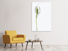 Load image into Gallery viewer, Canvas print The peace lily
