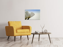 Load image into Gallery viewer, Canvas print The leaf of a lily blossom
