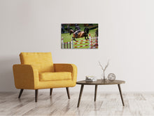 Load image into Gallery viewer, Canvas print The show jumper
