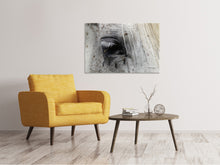 Load image into Gallery viewer, Canvas print The eye of the horse
