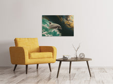 Load image into Gallery viewer, Canvas print Fascination dolphin
