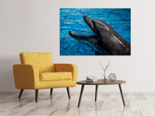 Load image into Gallery viewer, Canvas print Friendly dolphin
