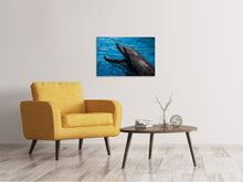 Load image into Gallery viewer, Canvas print Friendly dolphin

