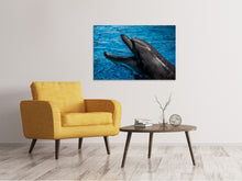 Load image into Gallery viewer, Canvas print Friendly dolphin
