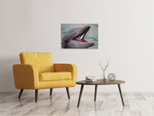 Load image into Gallery viewer, Canvas print Mealtime for a dolphin
