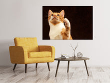 Load image into Gallery viewer, Canvas print Attention clever cat
