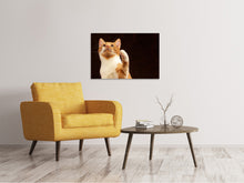 Load image into Gallery viewer, Canvas print Attention clever cat
