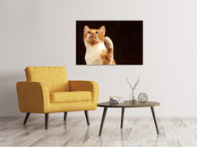 Load image into Gallery viewer, Canvas print Attention clever cat
