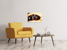 Load image into Gallery viewer, Canvas print cat&#39;s paw
