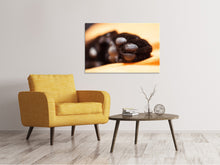 Load image into Gallery viewer, Canvas print cat&#39;s paw
