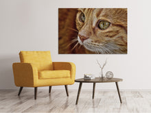 Load image into Gallery viewer, Canvas print Close up cat&#39;s head
