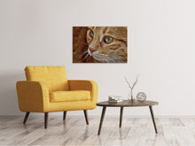 Load image into Gallery viewer, Canvas print Close up cat&#39;s head
