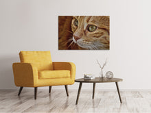 Load image into Gallery viewer, Canvas print Close up cat&#39;s head
