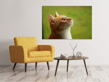 Load image into Gallery viewer, Canvas print cats nose
