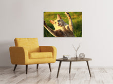 Load image into Gallery viewer, Canvas print Show the claws!
