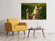 Load image into Gallery viewer, Canvas print Cats game
