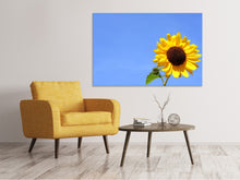Load image into Gallery viewer, Canvas print Sunflower with blue sky
